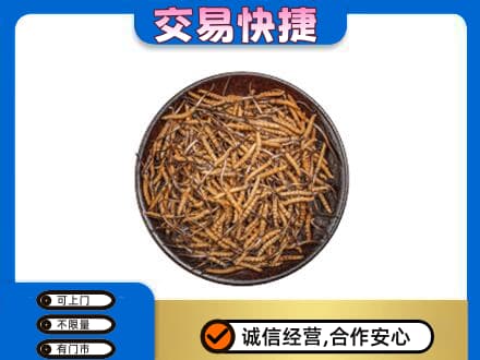 屯昌高价回收散虫草