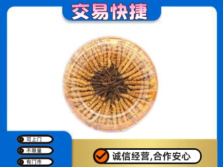 屯昌礼品回收虫草礼盒.jpg